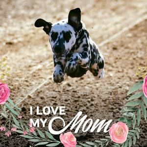 Meet your Posher, Winter